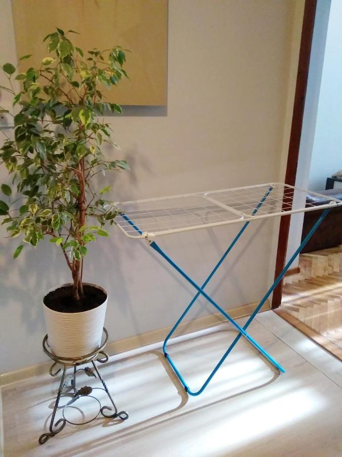 Apartment Comfortable Modern Lviv
