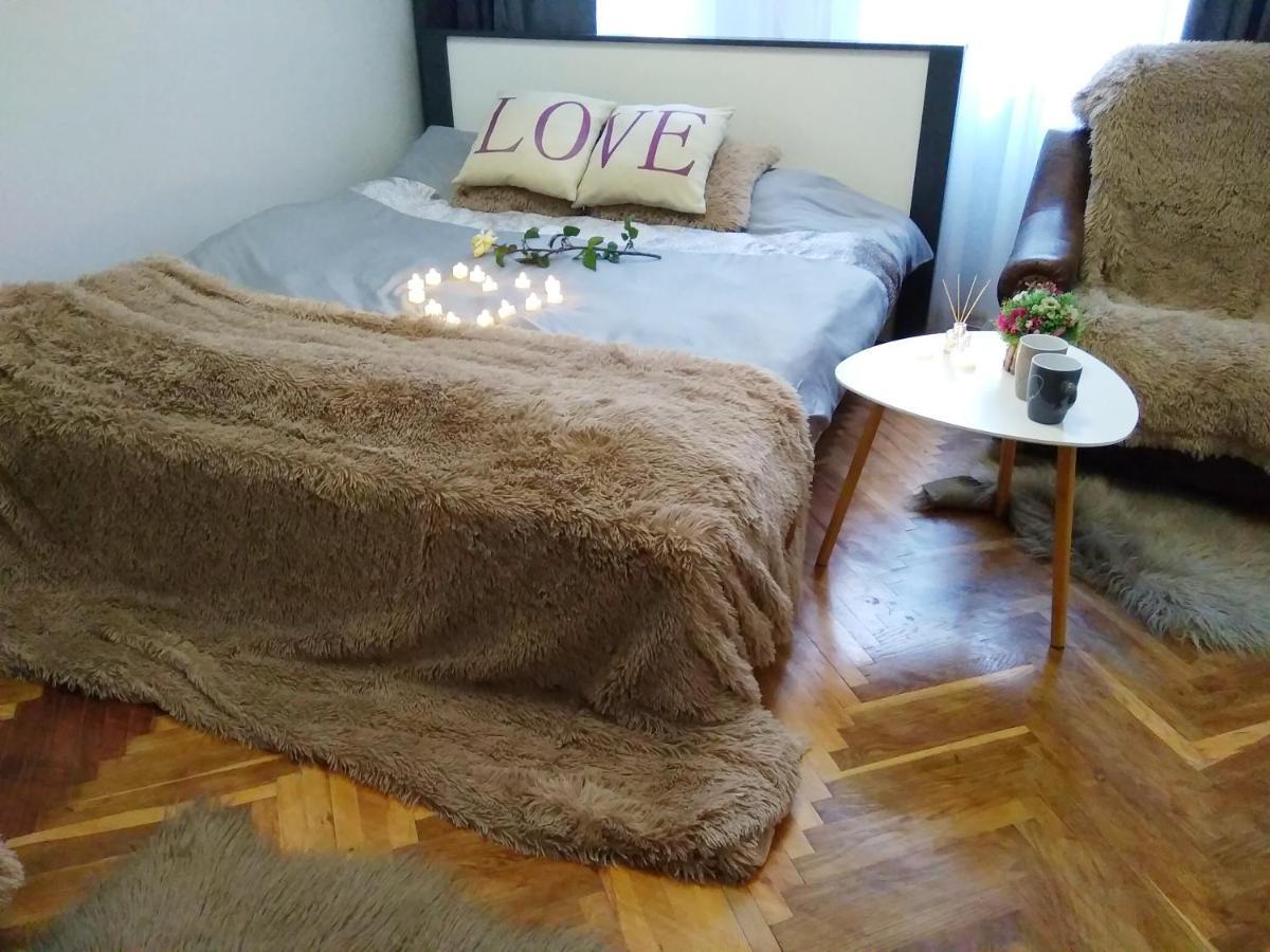Apartment Comfortable Modern